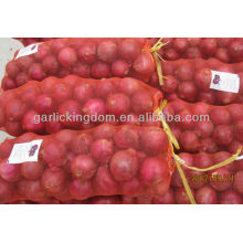 Cebolla roja fresca para la venta / cebollas grandes rojas en China / cebolla amarilla para la venta